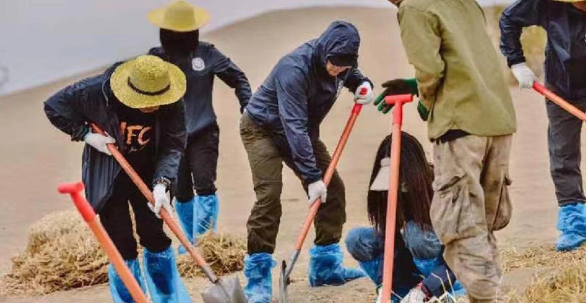 Embrace Sustainability with artpnt