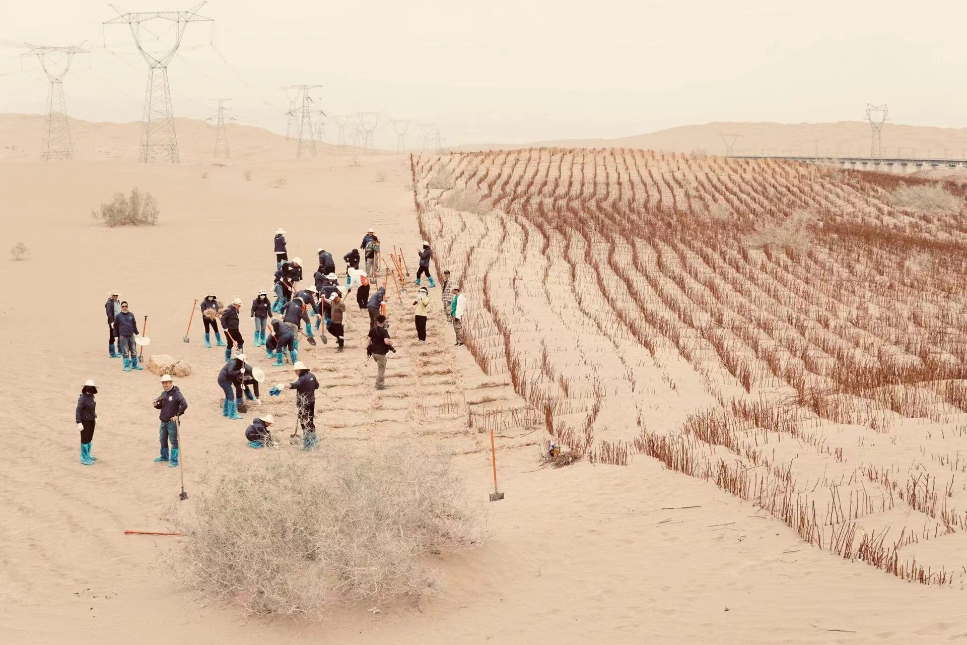 Every Stroke of Art is a Tree's Future